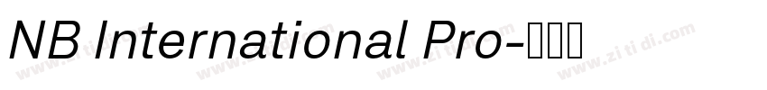 NB International Pro字体转换